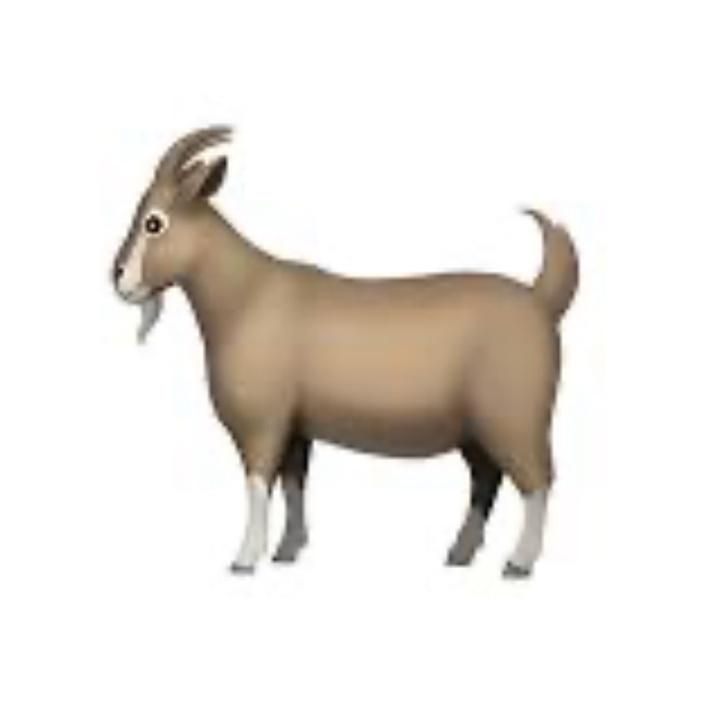 Profile Picture of JasonConrad (@shaylpnv2ql) on Tiktok