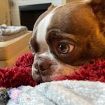 Profile Picture of Kim Cook McCluskey (@grumpybuckeye) on Instagram