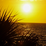 Profile Picture of Thomas  Vetter (@thomasbvetter) on Flickr