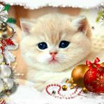 Profile Picture of Ирина Малютина (@malyutinairina7) on Instagram