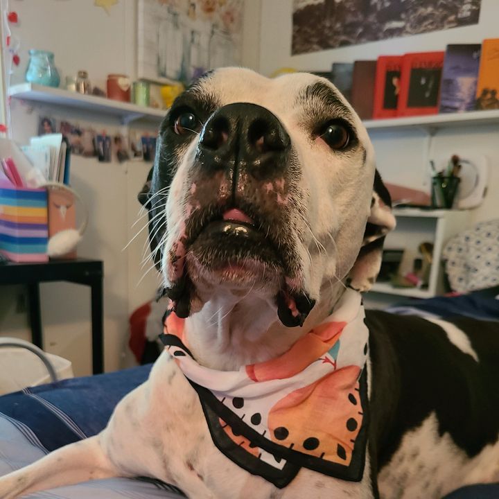 Profile Picture of Candice Torres (@twoheartcandies) on Tiktok