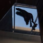 Profile Picture of José Pedro Cortes (@josepedrocortes) on Instagram