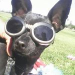 Profile Picture of Sherry Pence (@chilynsmommy) on Instagram