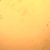 Profile Picture of lisamalmquist (@hejhejh6363) on Tiktok