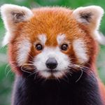 Profile Picture of Logan Michael Raynor (@raynor092019) on Instagram
