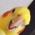Profile Picture of Kuriki Kenji (@kurikik) on Pinterest