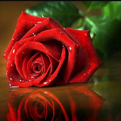 Profile Picture of Mahmud Ahmad (@mahmuda14800389) on Twitter