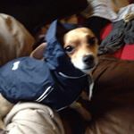 Profile Picture of Ashlee Conway (@conwayashlee) on Instagram