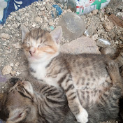 Profile Picture of Victor Salgado (@victorsalgado5456) on Youtube