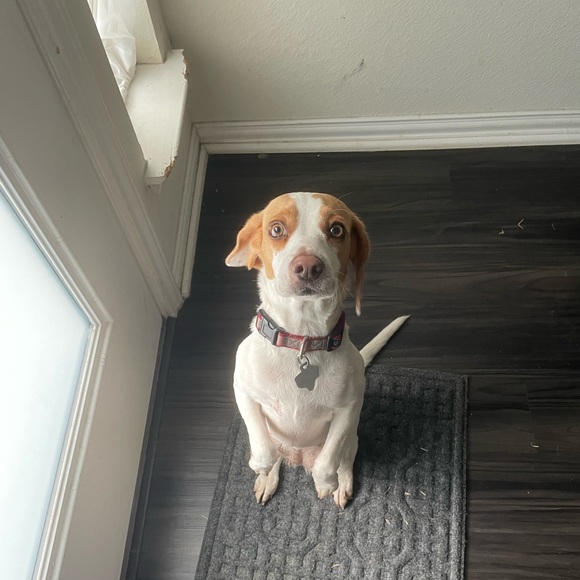 Profile Picture of Gil Rodriguez (@gil120) on Poshmark