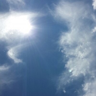 Profile Picture of Heather McFarland (@hnmcfarla) on Twitter