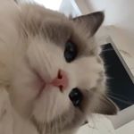 Profile Picture of Daniel Wilson (@daniel_wilson442) on Instagram