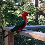 Profile Picture of Kathy King (@kathy.king.754918) on Instagram