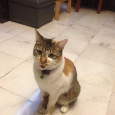 Profile Picture of Jeffery Yap (@jeffery_yap) on Twitter