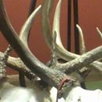 Profile Picture of Kevin-Carrie Brunker (@brunker961) on Instagram