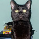 Profile Picture of Darius Townsend (@notdarius1014) on Instagram