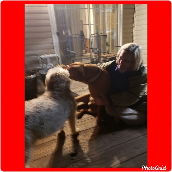 Profile Picture of Lisa Solomon (@lisasolo1968) on Poshmark