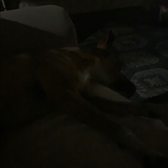 Profile Picture of Bryan Naradovy (@bnaradovy) on Poshmark