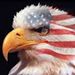 Profile Picture of Andrew Faw (@afaw1050) on Pinterest