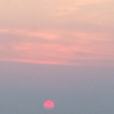 Ashkan Alizadeh - Twitter Profile Picture of Ashkan Alizadehon Twitter