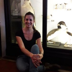 Profile Picture of María José Ramos Acevedo (@MariaJoRamos_) on Twitter