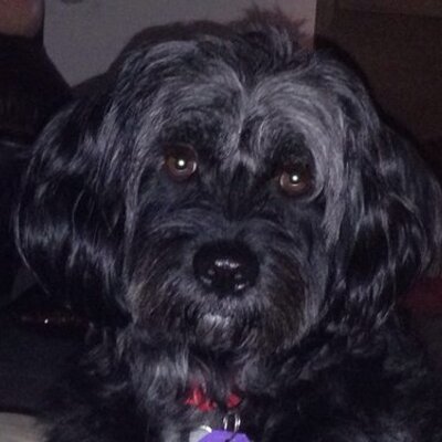 Profile Picture of Derek Webster (@derekwebster103) on Twitter