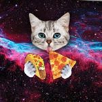 Profile Picture of Peanut Abby Hurley George (@dobbsferry_cats) on Instagram