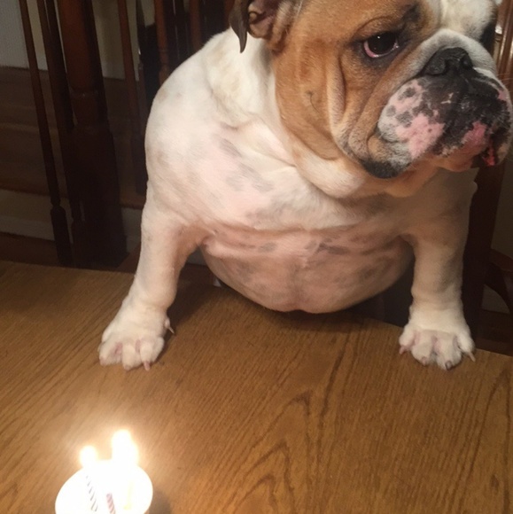 Profile Picture of Paul Valeri (@brooklynkings18) on Poshmark