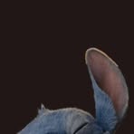 Profile Picture of Måyræ Amõræ (@m.u.n.314319) on Facebook