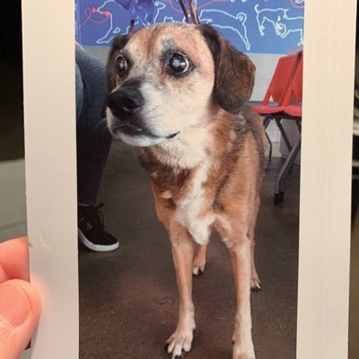 Profile Picture of Mike T (@hython2000) on Twitter