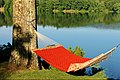 Profile Picture of Hammock - Wikipediaon Wikipedia