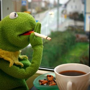 Profile Picture of Kermit Frog (@the_90.s_kermit) on Myspace