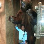 latashabraggs2 - Instagram Profile Picture of latashabraggs2 (@latashabraggs2) on Instagram