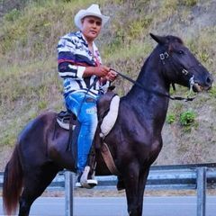 Profile Picture of Albert Lachapel (@albert.lachapel) on Tiktok