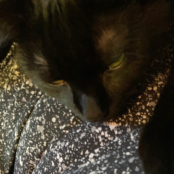 Sophie Jillings - Poshmark Profile Picture of Sophie Jillings (@sjillings) on Poshmark