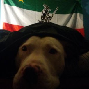 Profile Picture of Philip Simard (@philip_simard) on Twitter