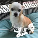 Profile Picture of Aimee Owens Pousson (@ames.jones.9) on Facebook