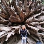 Profile Picture of Teo Valitchka (@teovalitchka) on Instagram