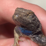 Kyle Stoffel - Youtube Profile Picture of Kyle Stoffel (@KyleStoffel-py7rm) on Youtube