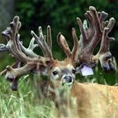 Profile Picture of Austin Morlen (@austin.morlen.9) on Facebook