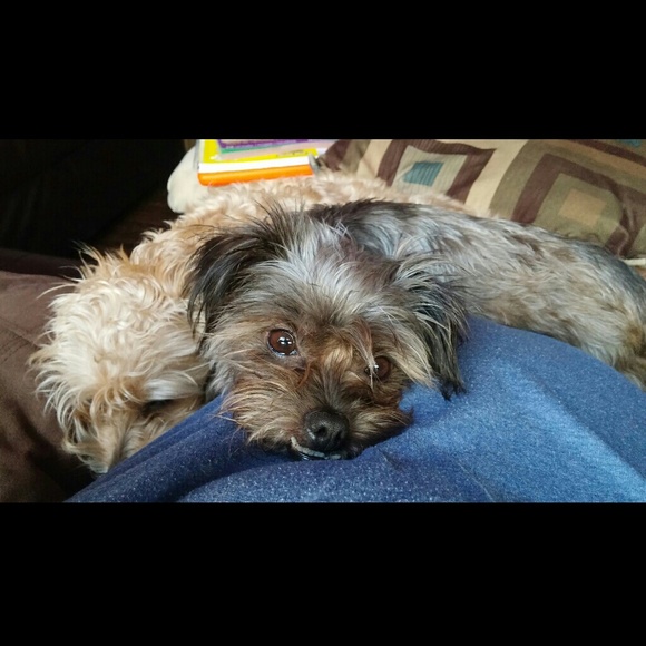 Profile Picture of Christina Alberto (@calberto) on Poshmark