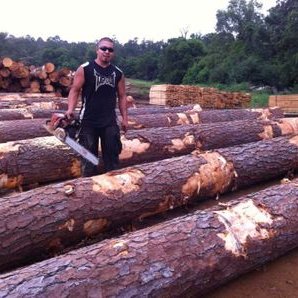 Profile Picture of David Vega Castor (@DavidVegaCasto2) on Twitter