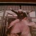 Profile Picture of Zach Strunk (@zach.strunk.9) on Facebook