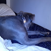 Profile Picture of Daniel Baptiste  (@DanielleMeunier-y5e) on Youtube