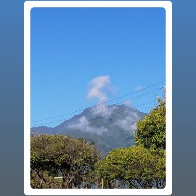 Profile Picture of Mark Laster (@MarkLaster7) on Twitter
