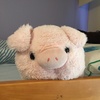 Profile Picture of Katherine Rutter (@@katherinerutttr) on Tiktok