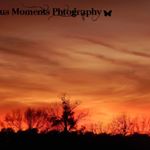 Profile Picture of Tristan Finch (@_precious.moments.photography) on Instagram