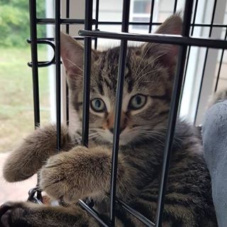 Profile Picture of Robert Colman (@robert.colman.52) on Facebook