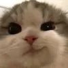 Profile Picture of Kimmer (@kimmatchima) on Tiktok