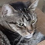 Profile Picture of Jesse Macias (@maciasjesse386) on Instagram